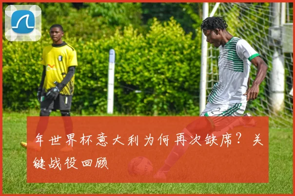 年世界杯意大利为何再次缺席?关键战役回顾